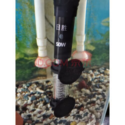 加热棒海水哪款好？实拍评测助你选购优质鱼缸加热棒