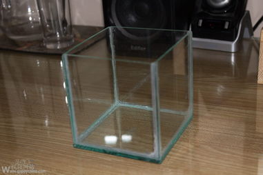 初探鱼缸DIY 孔雀鱼饲养必备用品分享