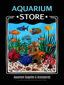 鱼缸插画与辅助用品 构建水族艺术的完美生态