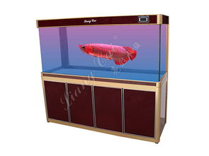 1米小弯底滤鱼缸 打造理想水族环境的必备宠物配件