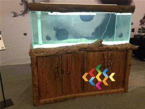 生态水族箱之美 七彩鱼缸与配件全解析