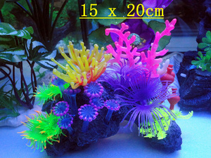 软体珊瑚 宠物配件市场中的独特选择