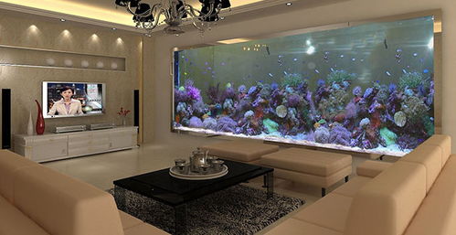 不同饰品与家居风水禁忌 宠物配件须知